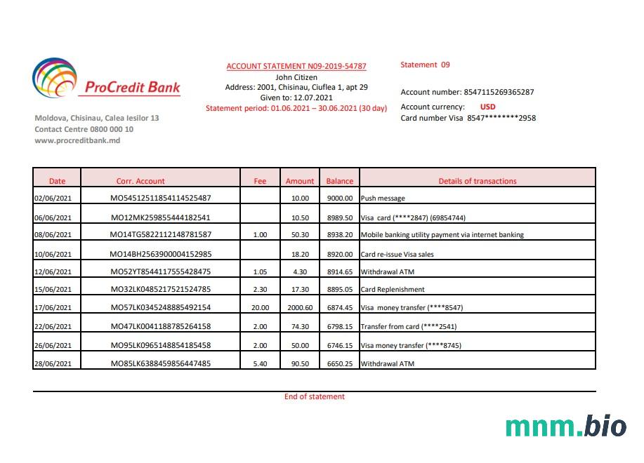 Moldova Pro credit bank mold wzór wyciągu bankowego